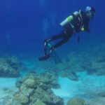 diving top winter destination cape verde